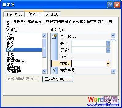 在格式工具栏中添加样式列表