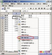 ��Excel2003����